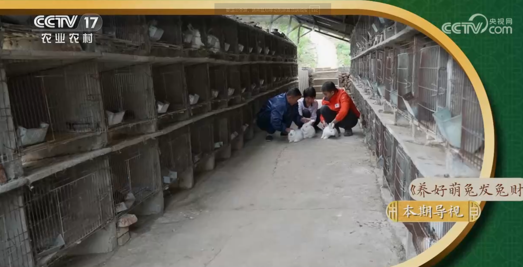 《田園幫幫團(tuán)》 20230712 養(yǎng)好萌兔發(fā)兔財